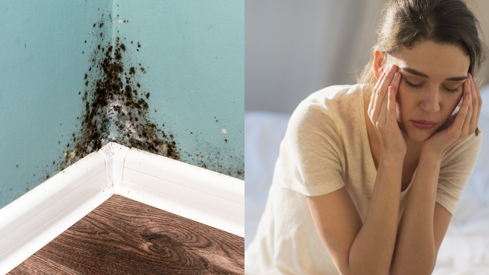 Could Mold Be Making You Tired?
