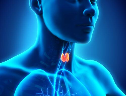 What you NEED to Know about Thyroid Hormone